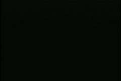 Belle of the Ball Performance 2004