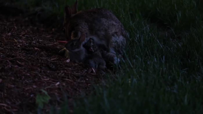 Excerpted interview with Jawole Willa Jo Zollar part 1