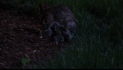 Excerpted interview with Jawole Willa Jo Zollar part 1